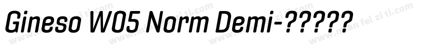 Gineso W05 Norm Demi字体转换